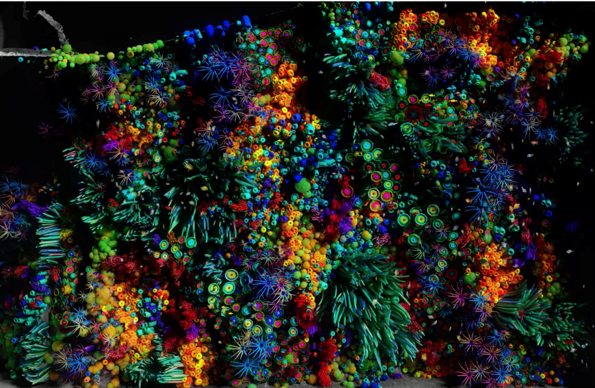 Tigrelab_Coral_Installation_04