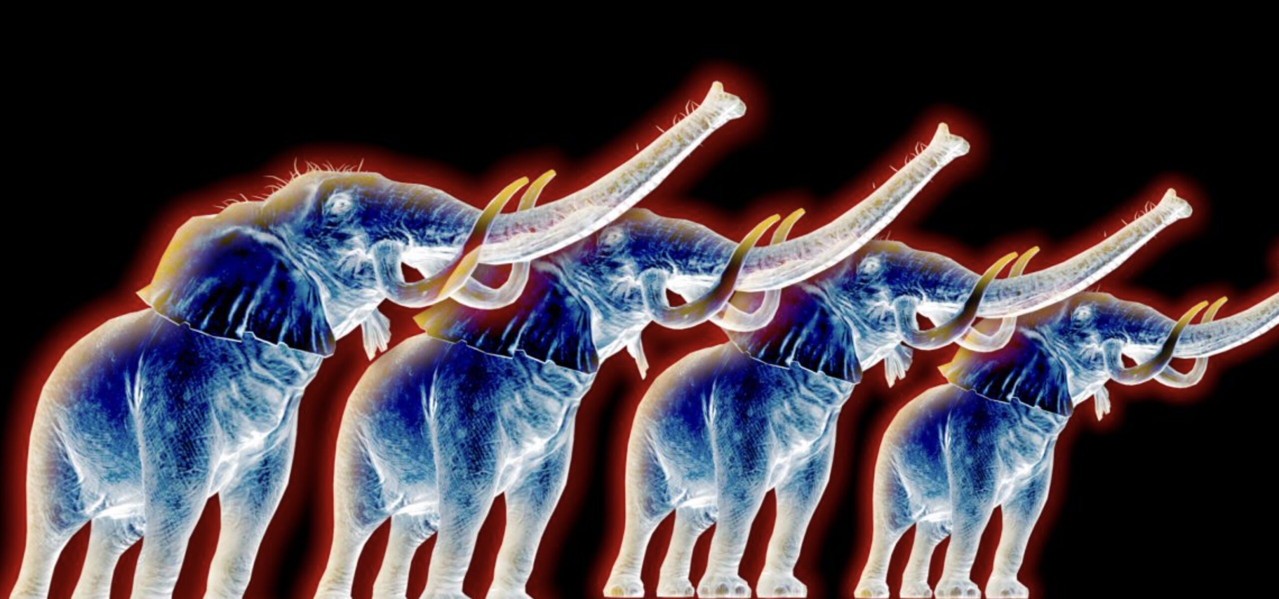 Tigrelab_Jungle_Projection_Mapping_14