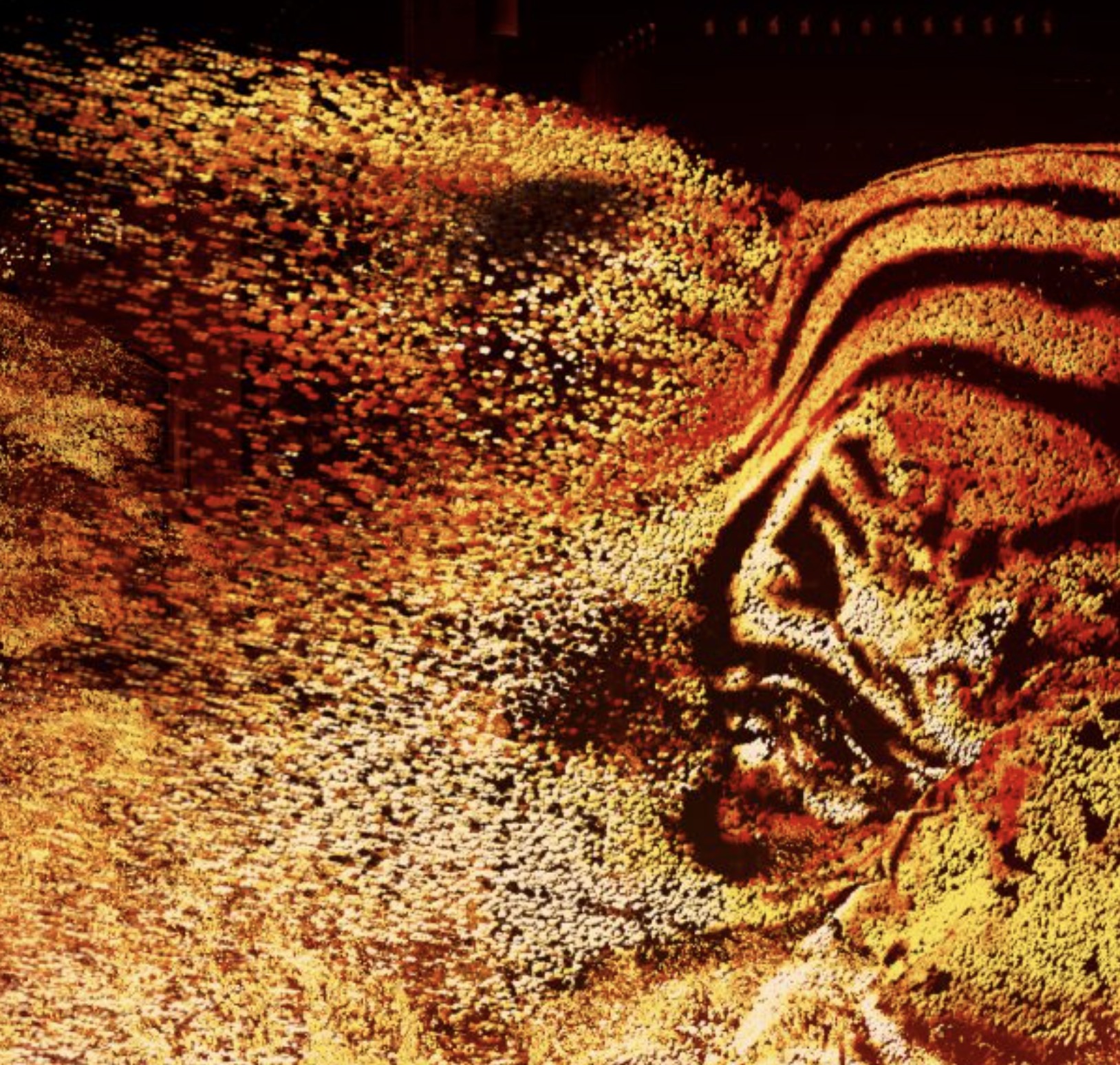 Tigrelab_Jungle_Projection_Mapping_02