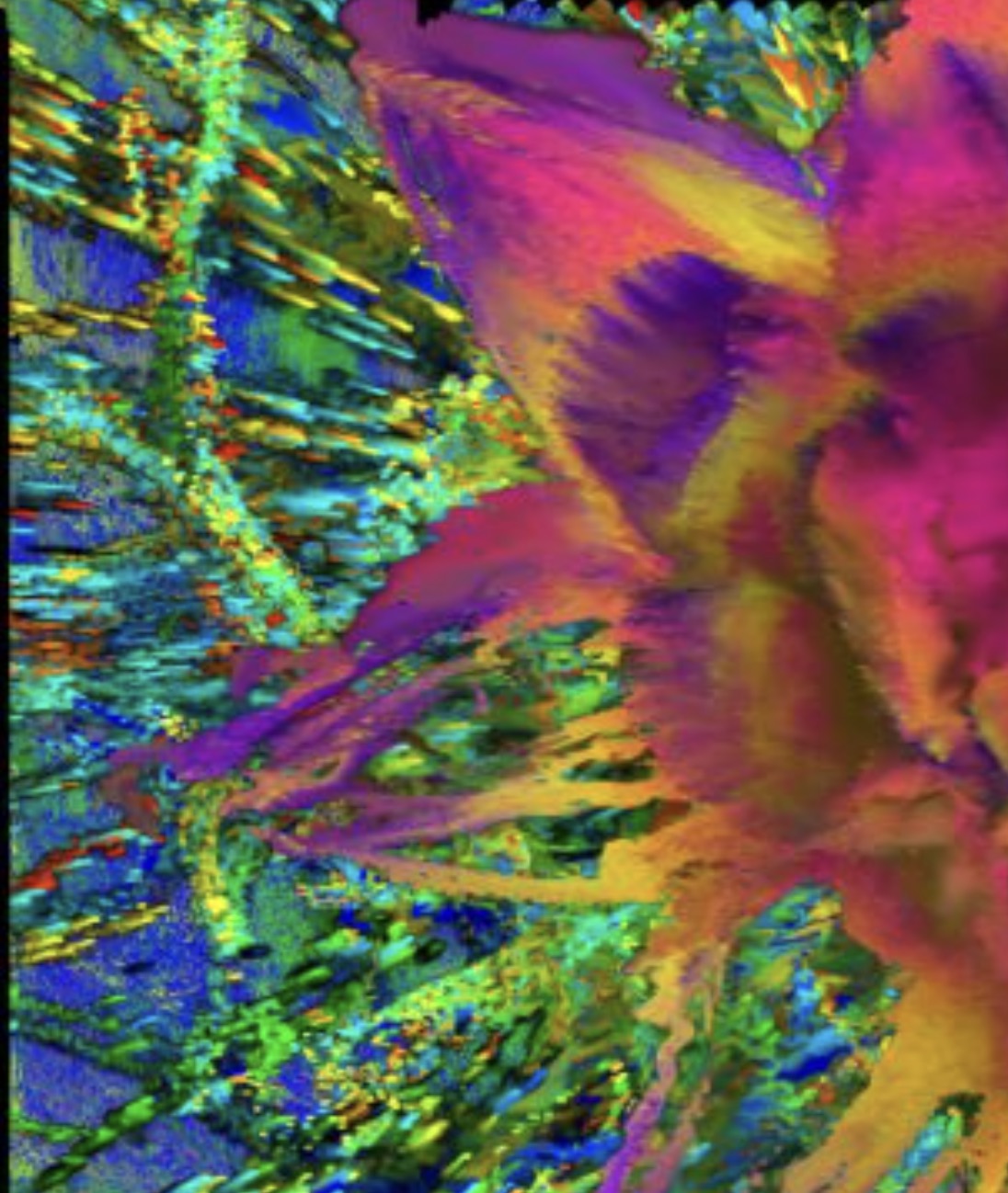 Tigrelab_Jungle_Projection_Mapping_21