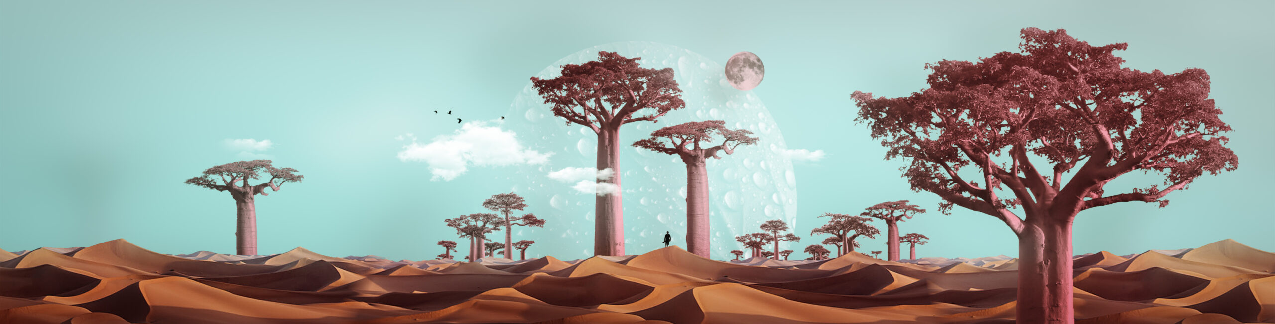 Tigrelab_documentary_collage_01