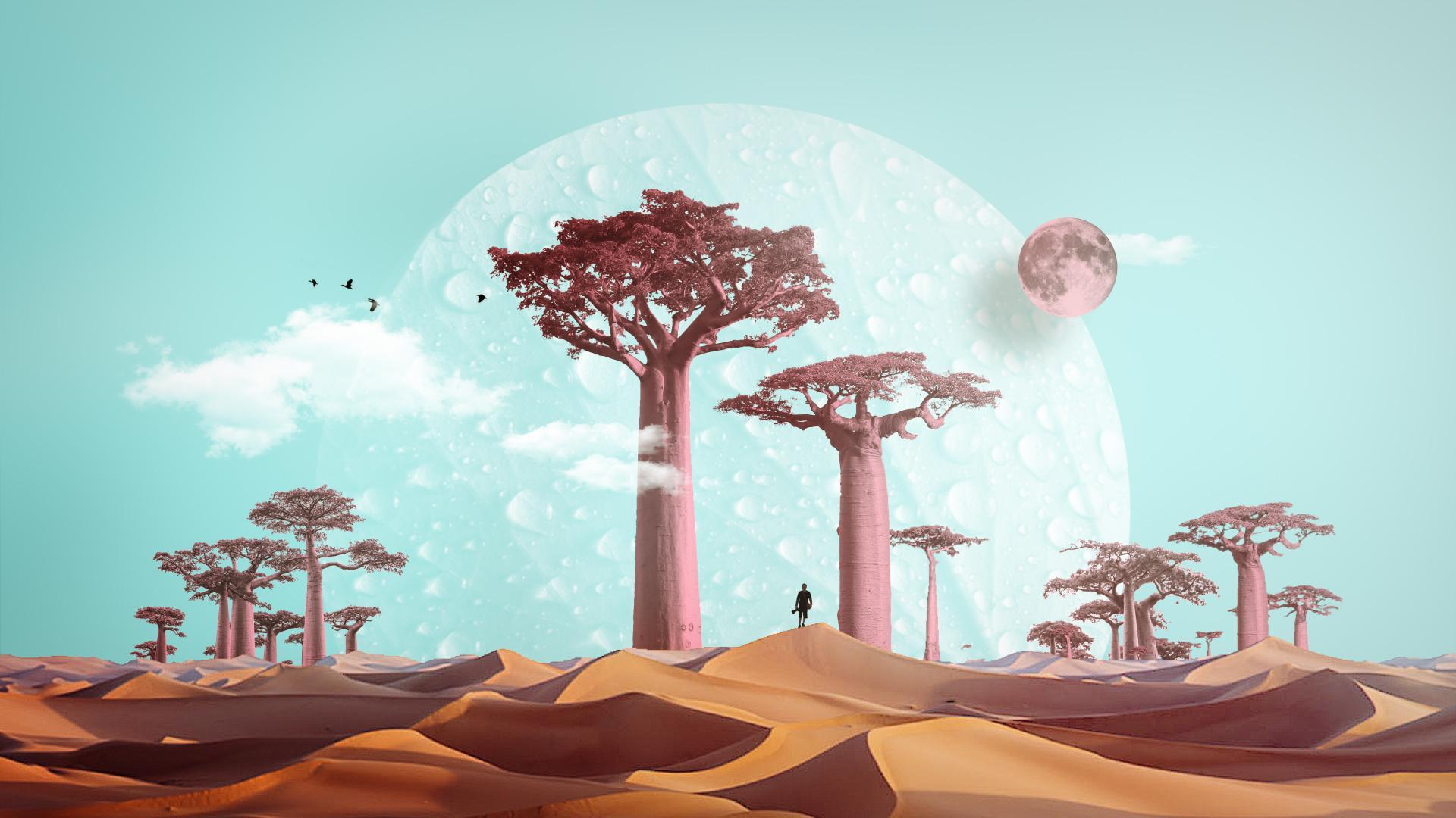 Tigrelab_documentary_collage_tinted_11