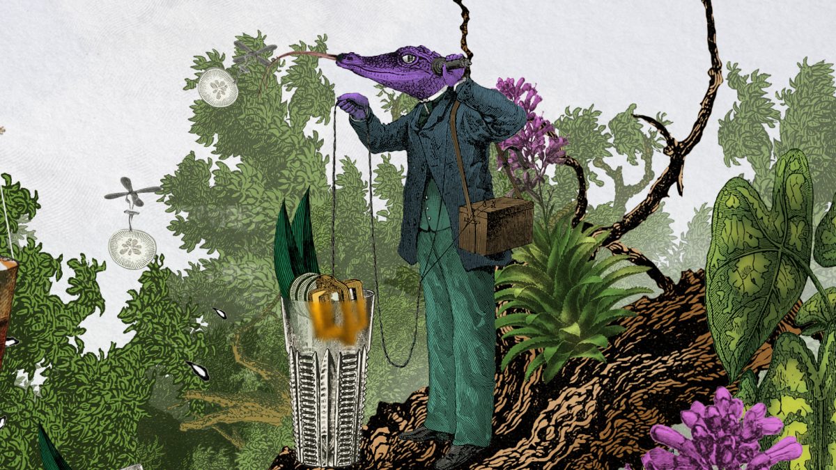 Tigrelab_Hendricks_Amazonia_loop_10