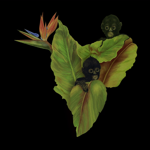 Tigrelab_Frida_Kahlo_18