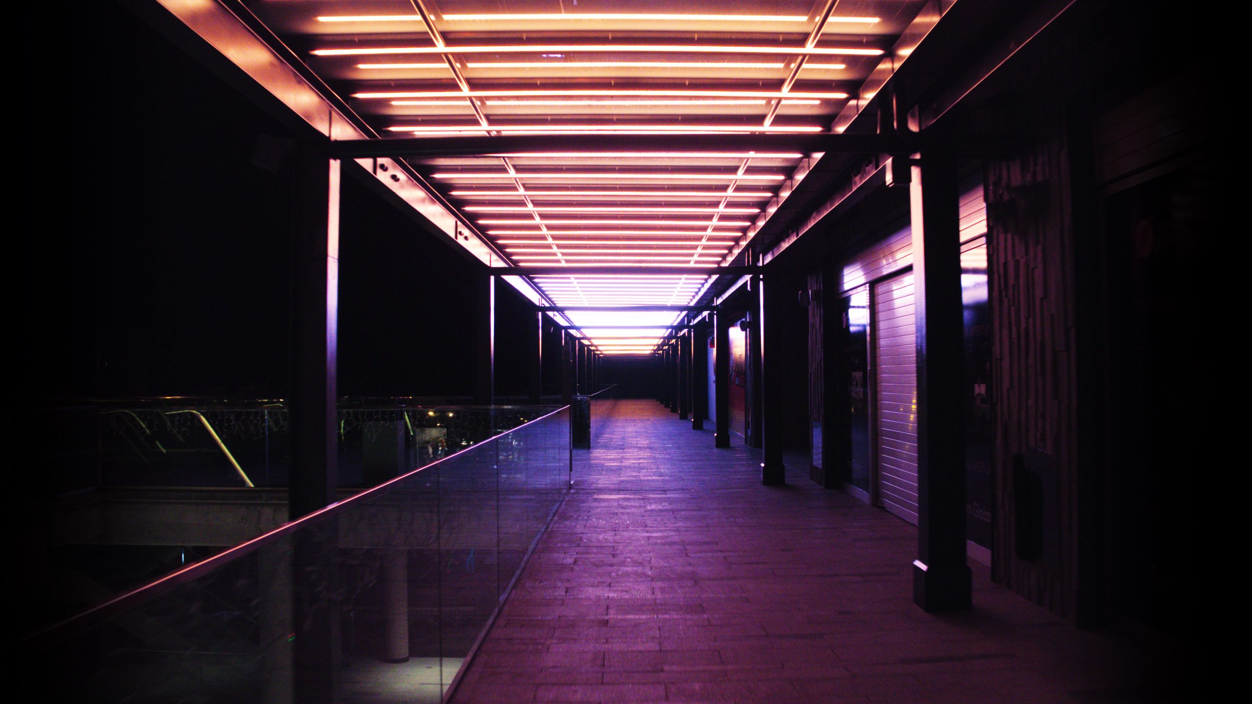 Tigrelab_Rosa_Center_Opening_Portada