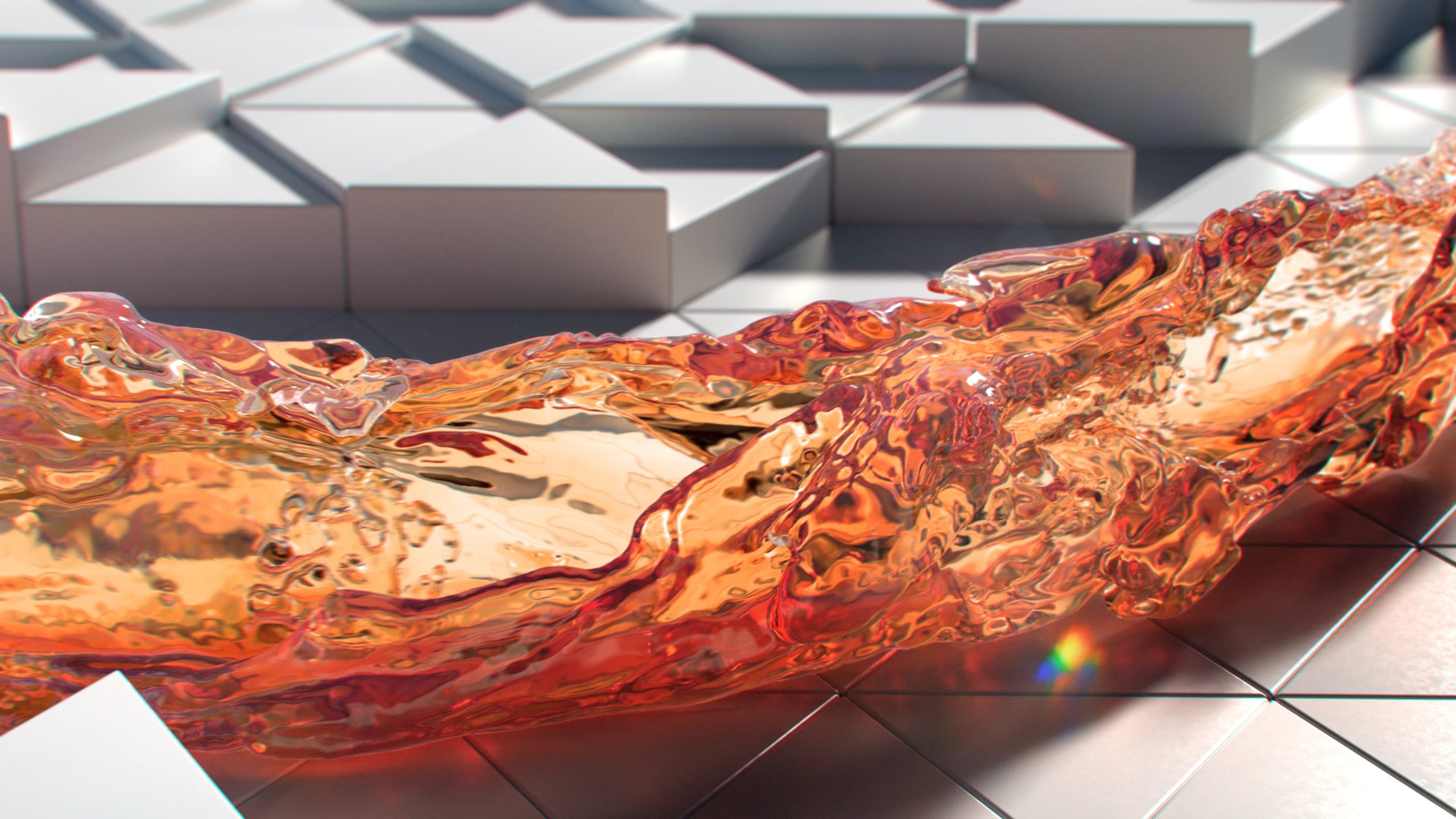 Tigrelab_Macallan_NY_Portada