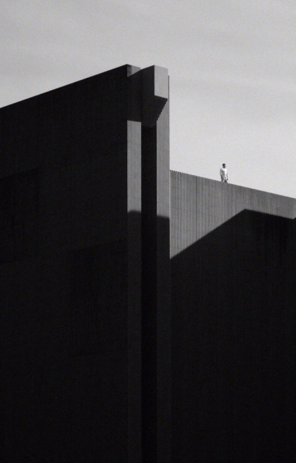 Tigrelab_Brutal_Shadow_03