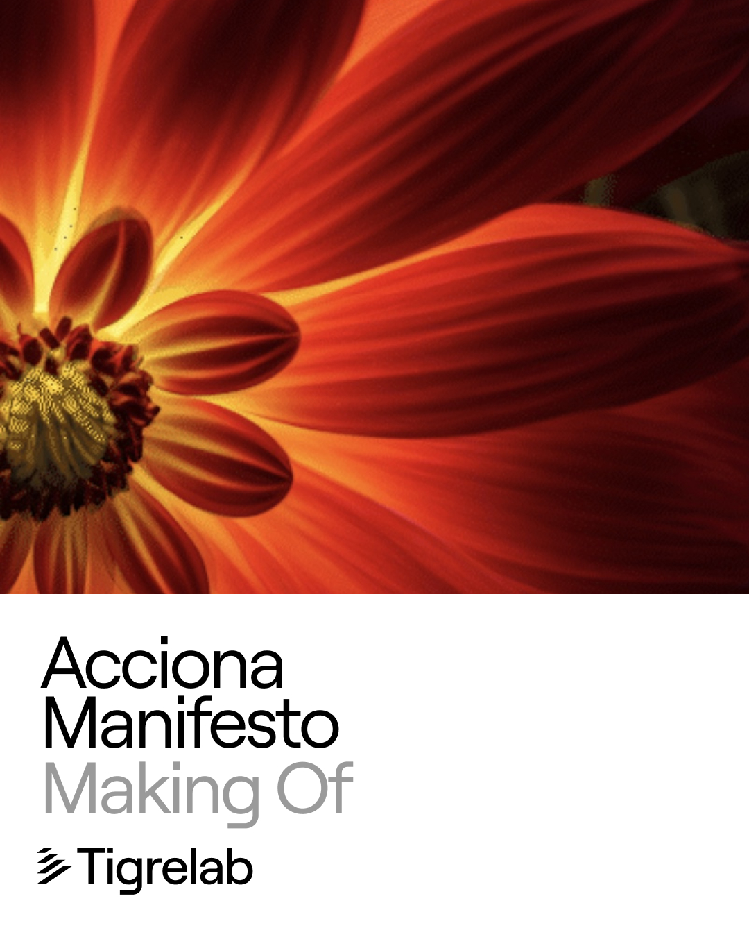 Tigrelab_Acciona_Manifesto_Portada_MakingOf