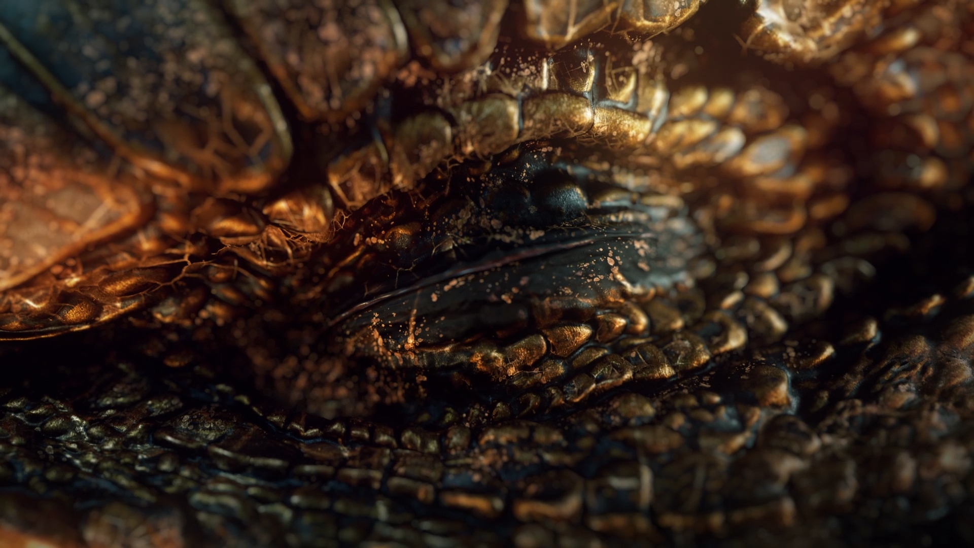 Tigrelab_Winamax_Poker_Dragon_04