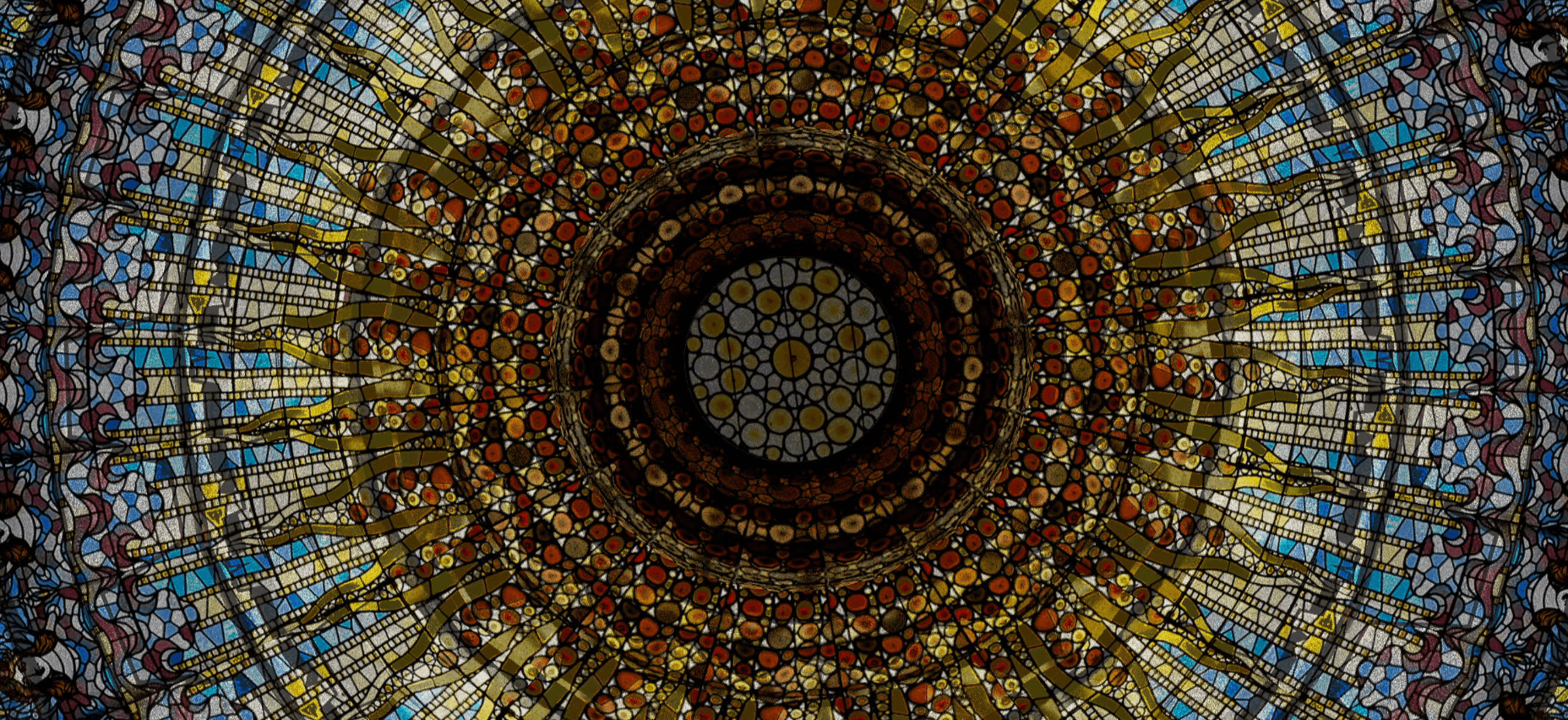 PalauMoja_14_Tigrelab_immersive